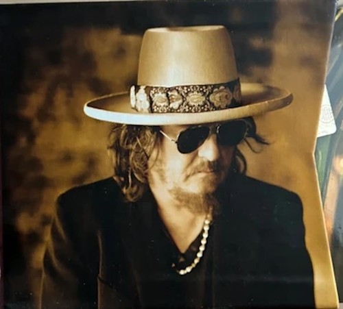 Zucchero sugar fornaciari - zucchero,