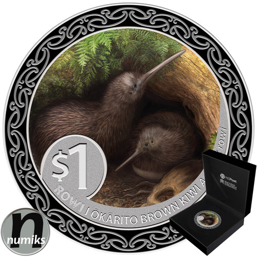 Rowi brown kiwi 2025 nuova - kiwi,