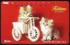 105U Due Gattini Carini - Uno In Un Triciclo Di Vimini USATO Carta Telefonica
