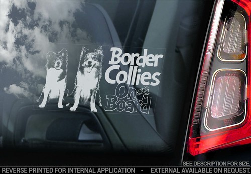Adesivo auto border collie - adesivo,