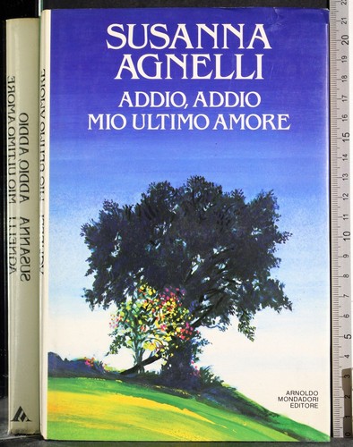 Addio mio ultimo amore - mio,