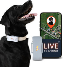 PAJ Tracker GPS per Cani 4G