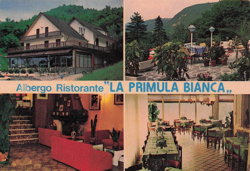 160d cartolina campiano - cartolina,