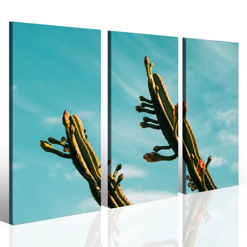 Quadri moderni cactus flower - moderni,