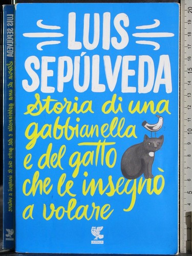 Storia una gabbianella e - storia,