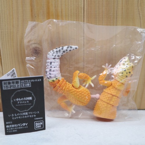 Nuova action figure - , bandai