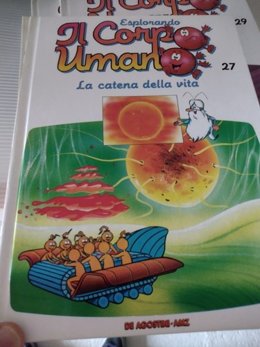 Esplorando corpo umano la - umano,