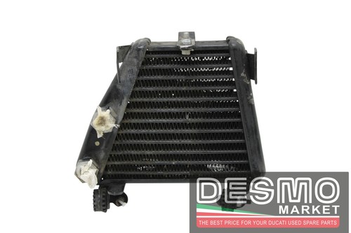 Radiatore olio ducati 749 999 - radiatore,