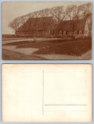 Cartolina epoca olandese - cartolina,