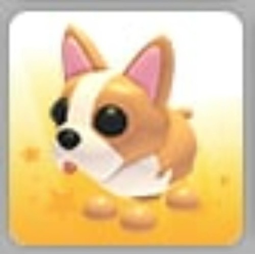Bulldog francese mfr - bulldog, |