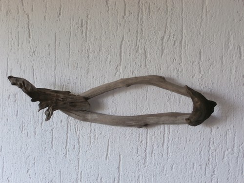 Pesce parete legno mare - di,