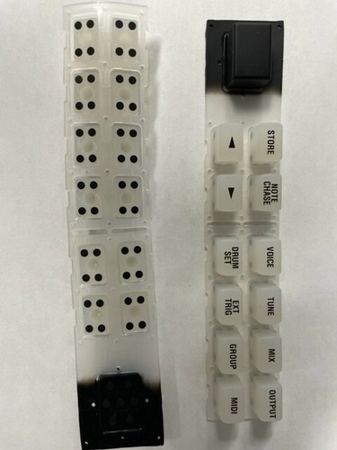 Alesis tastiera gomma - alesis,