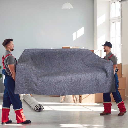 Vevor coperte protettive - coperte,