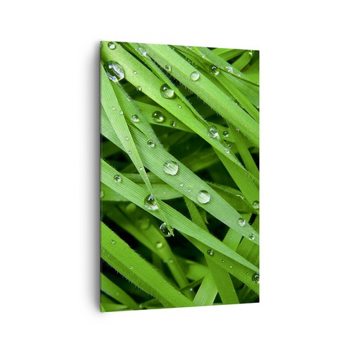 Quadro tela 80x120cm natura - quadro,