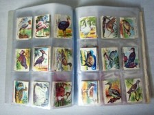 ANIMALI-RACCOLTA ANIMALI-LAMPO 1964-FIGURINA a scelta (1/210)-STICKER-Recuperata