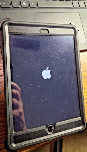 Apple ipad mini gb - mini, 16