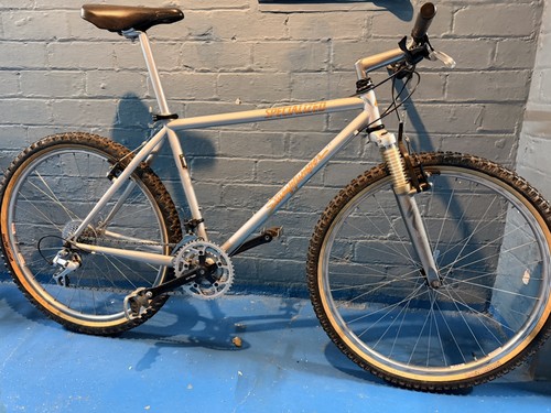 Mountain bike stumpjumper - mountain,