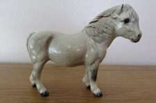 Bellissimo pony shetland royal - bellissimo,
