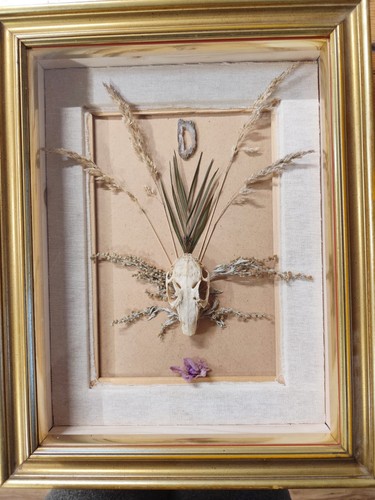 Quadro teca con teschio - con,