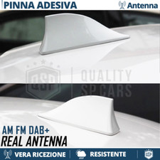 Antenna pinna squalo bianca - pinna,