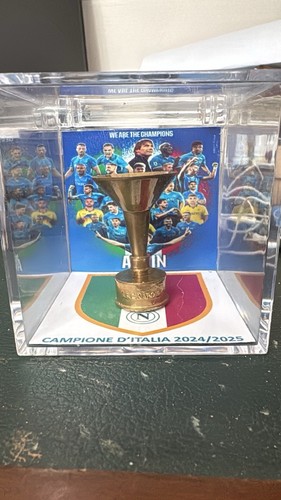 Coppa scudetto serie 2024 - coppa,