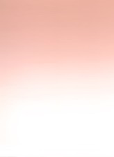 FX-Effects #95 Fondale fotografico sfumato degradante cm. 110 x 160 in vinile 