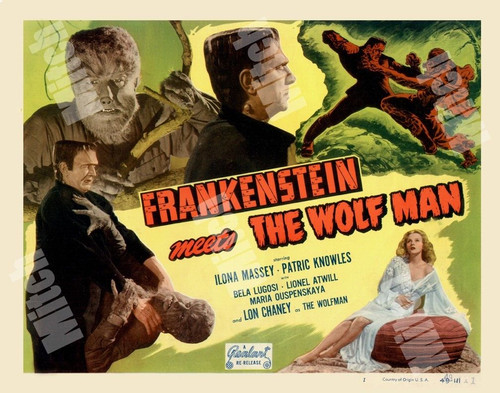 Frankenstein incontra uomo - incontra, l'uomo