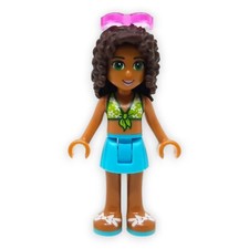 Lego Friends Andrea 10747 41031 41124 30100 3061 41313 frnd205 frnd078 frnd160