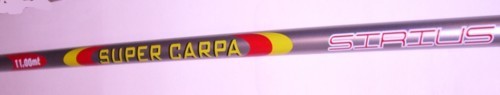Canna roubasienne zepre sirius - zepre,