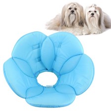 Accessori Cani Collare Cane