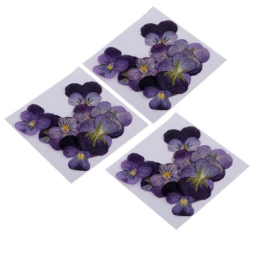 36x fiori pressati - 36x,