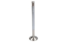Exhaust valve right (right)