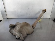 VASCHETTA TERGICRISTALLO PER