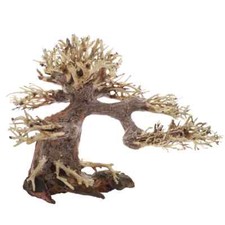 Dupla Bonsai Small Circa