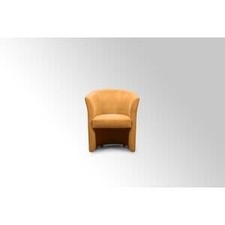 Poltrona Imbottita da Interno