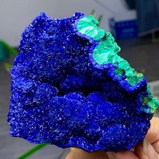 242G MIGLIORI esemplari di