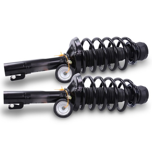 Ammortizzatore completo - 2x,