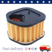 Pulitore filtro aria per