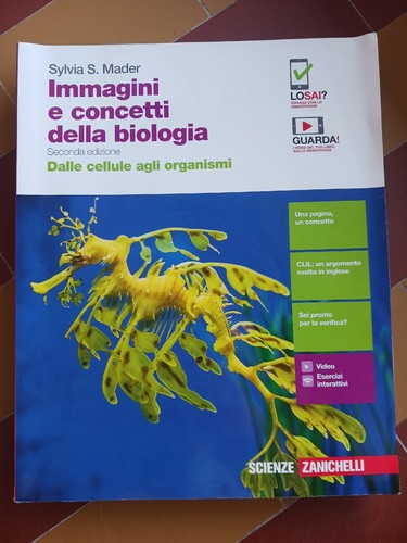 Immagini concetti della - immagini, e