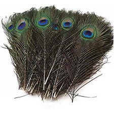Confezione da 15 piume di