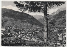 PAULARO - CARNIA - UDINE - VIAGG. 1965 -26698-