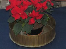 Portavaso contenitore legna di