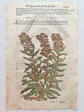 MATTIOLI Xilografia 1500