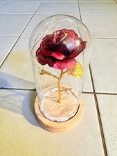 Rosa con campana di vetro con
