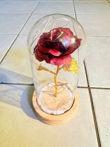 Rosa con campana vetro - rosa,