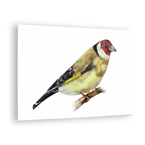 Quadro vetro 70x50cm - su,