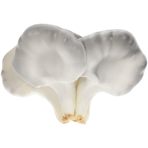 Fungo ostrica simulato - ,