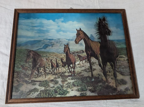 Quadro cavalli effetto - quadro,