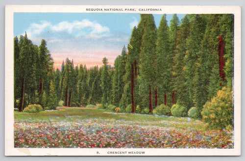 Cartolina mezzaluna prato - cartolina,