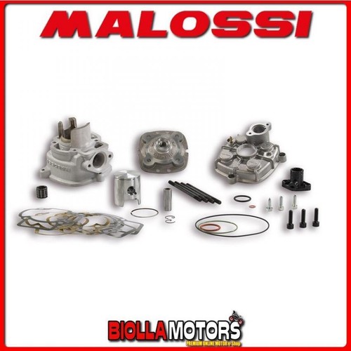 318884 gruppo termico - gruppo, malossi